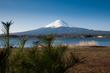 从湖山富士视图