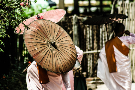 女人僧侣在仰光，缅甸