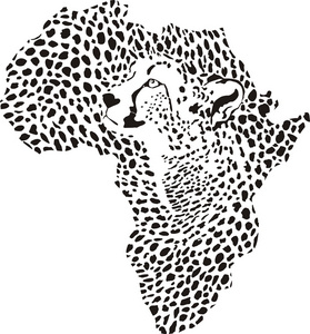 非洲猎豹伪装
