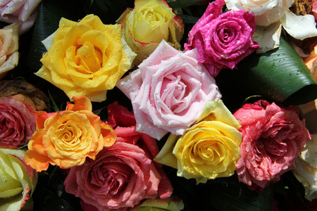 多彩多姿的玫瑰花束