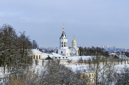 男人的修道院 Vladimir 市