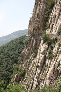 mt 在邵林，中国