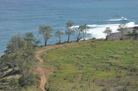 kahekili 公路的视图