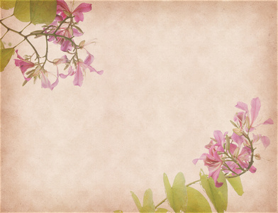 复古矢量,无缝图案,花纹,花背景紫荆花 grunge 抽象背景上夏季高潮时