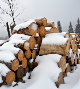 木柴的冬天雪下