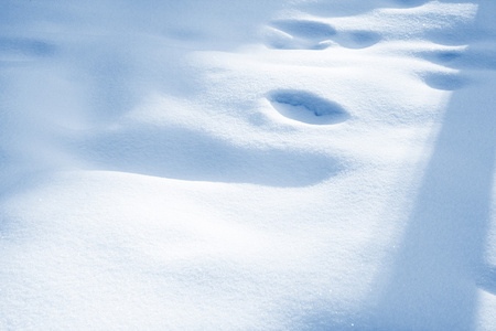 雪花在一个白色的雪