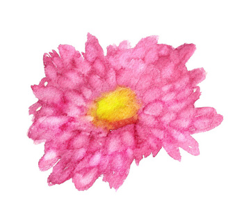 abstaract 粉红色菊花