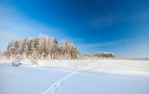 冬季公园在雪中