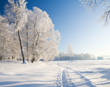 冬季公园在雪中