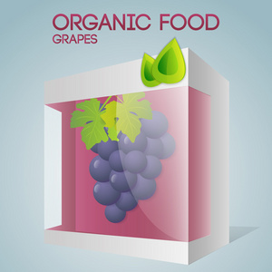 包装葡萄的矢量插图。 有机食品概念。