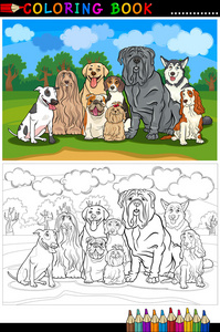 纯种狗卡通图画书图片