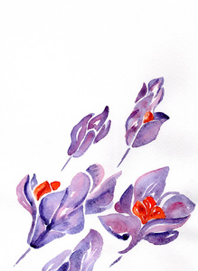 花卉的水彩绘画的艺术插图