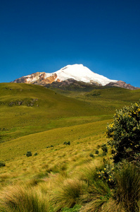 cayambe 厄瓜多尔