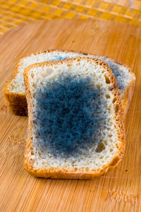面包过生日寒酸图片图片
