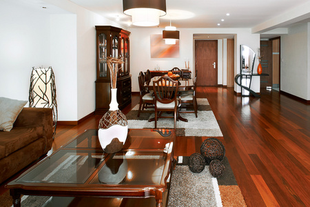室内设计 客厅和饭厅