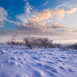 纯雪的冬天 持古