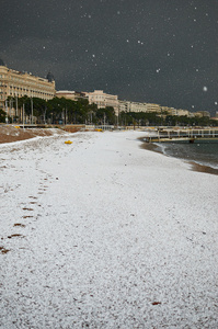 戛纳的雪