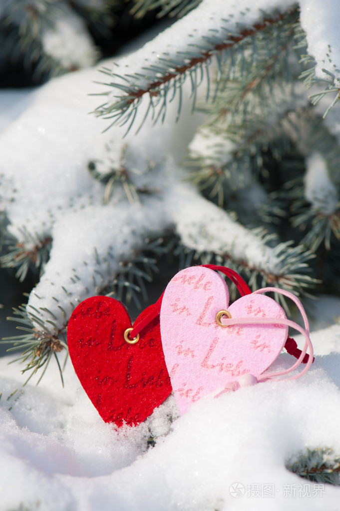 两颗心在树上的雪