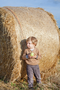 与字段上一大干草捆小幼儿吃苹果