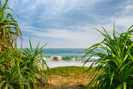 海岸海洋