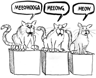 猫和他们的喵呜声的三个阶段