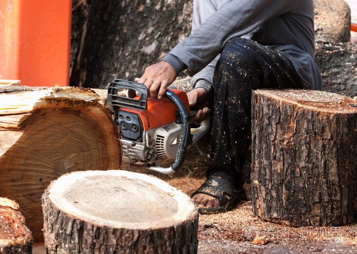 樵夫切割用链锯树树干