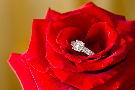 黄金钻石戒指和玫瑰