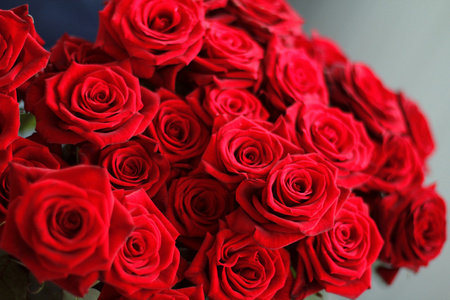 红玫瑰花束鲜花纹理图片