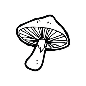 野生蘑菇卡通