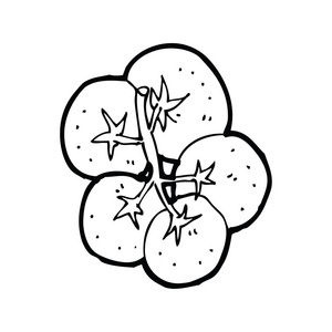 葡萄藤上的卡通西红柿照片