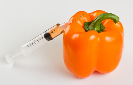 基因药转基因甜椒照片