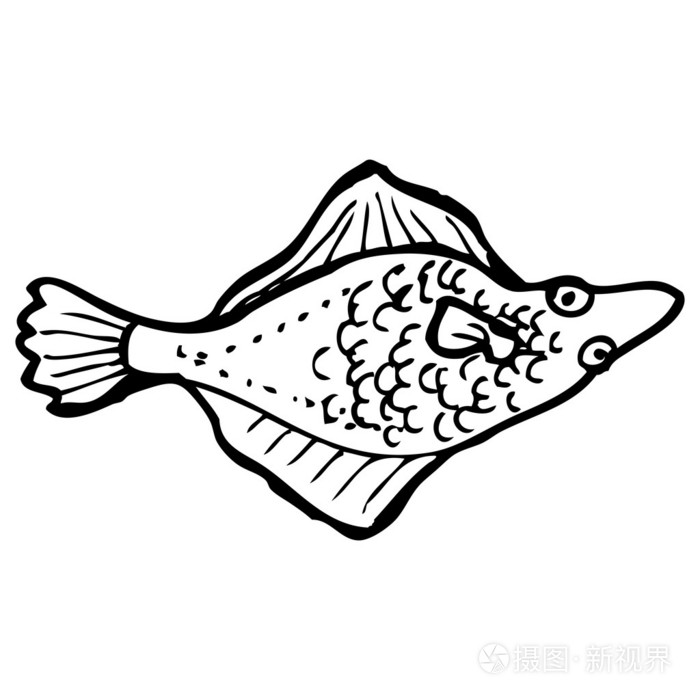 卡通平鱼插画-正版商用图片1bbm1h-摄图新视界