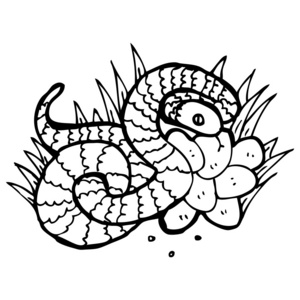 蛇蛋图片-蛇蛋素材-蛇蛋插画-摄图新视界