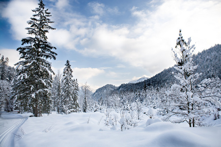 越野滑雪