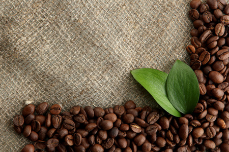 用麻袋布背景上叶子的咖啡豆
