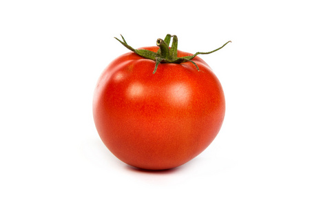 在白色的新鲜红番茄 isoated
