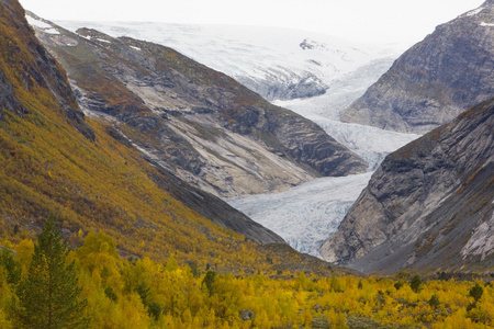 nigardsbreen 冰川，jostedalsbreen 国家公园挪威