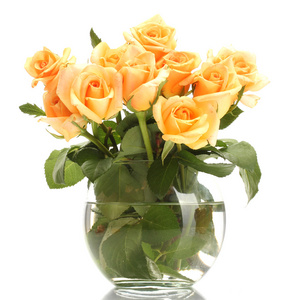 束美丽的玫瑰在透明的花瓶上白色隔离