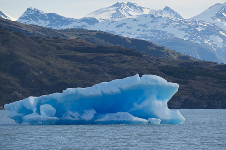 冰山浮在湖阿根廷