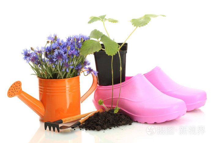 喷壶 胶鞋 工具和植物的花盆上白色隔离
