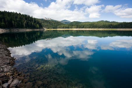 湖山和森林