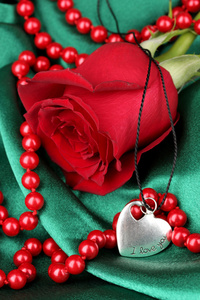 美丽的红玫瑰的心形吊坠