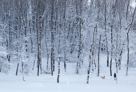 降雪