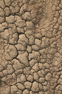 裂纹的粘土土壤