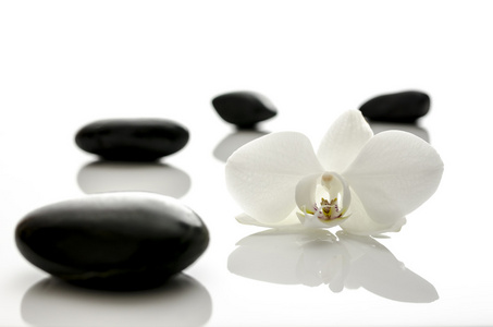 白色兰花与 spa 的石头