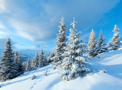 冬天与雪树山风景