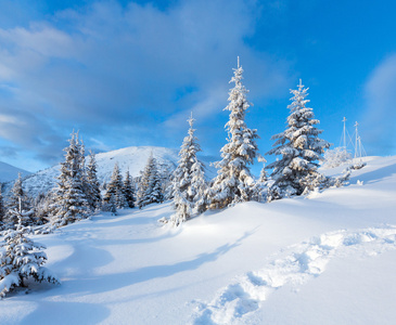 冬天与雪树山风景