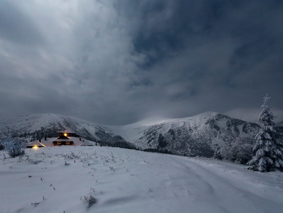 冬天与雪树山风景