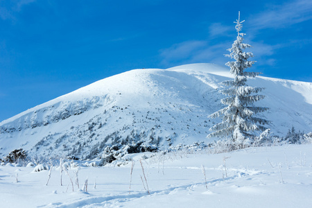 冬天与雪树山风景