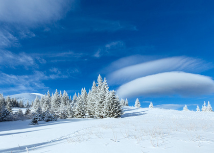 冬天与雪树山风景